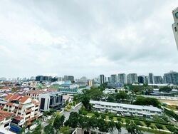 Haig 162 (D15), Apartment #424970411